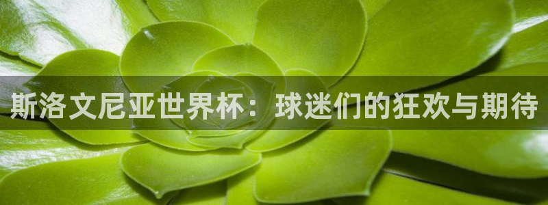 2026年世界杯时间表:斯洛文尼亚世界杯:球迷们的狂欢与期待