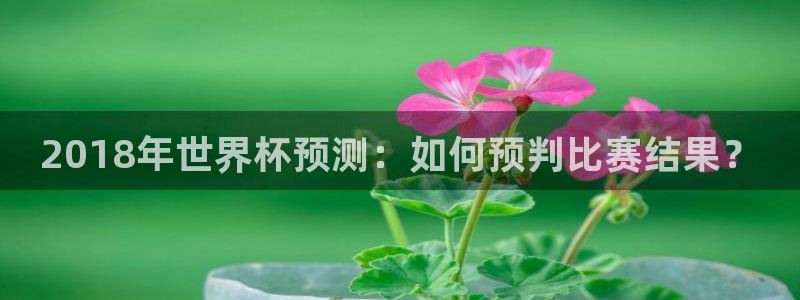 世界杯预选赛:2018年世界杯预测:如何预判比赛结果?