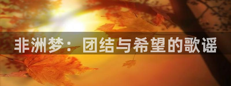世界杯足球直播:非洲梦:团结与希望的歌谣