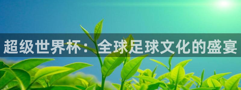 世界杯官网:超级世界杯:全球足球文化的盛宴